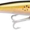 Rapala X-Rap Saltwater 14 - Bunker