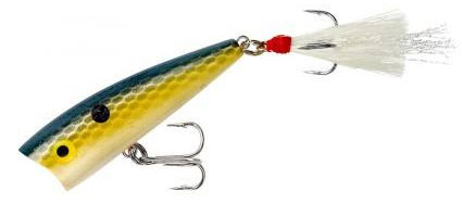 Rebel Magnum Pop-R - Foxy Shad