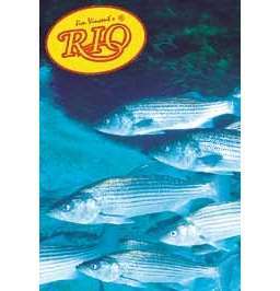 Rio Striped Bass Knotless 7ft Leader 22lb