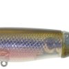 River2Sea WPL130 Whopper Plopper Lure Munky Butt - WPL130 Munky Butt