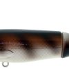 River2Sea WPL130 Whopper Plopper Lure Rat Ta Tat - WPL130 Rat Ta Tat