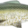 Savage Gear Pulse Tail Baitfish LB Swimbait - Green Back