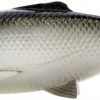 Savage Gear Pulse Tail Baitfish LB Swimbait - White