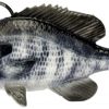 Savage Gear Pulse Tail Bluegill RTF Swimbait - White Gill