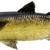 Savage Gear Pulse Tail Mullet LB Swimbait - 4in - Golden Mullet