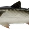 Savage Gear Pulse Tail Mullet LB Swimbait - 5in - White Mullet