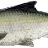 Savage Gear Pulse Tail Shiner LB Swimbait - 4in - Green Back