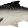 Savage Gear Pulse Tail Shiner LB Swimbait - 5in - White