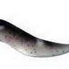 Savage Gear RE-R300 3D Real Eel Pre-Rigged Lure Blue Back Pearl