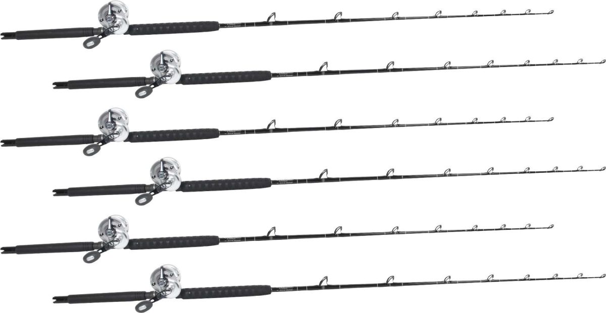 Shimano Talica TAC20BFC / TackleDirect Platinum Hook White Marlin Package w/ 6 Combos