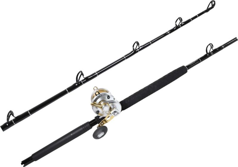 Shimano Talica TAC25II / TackleDirect Platinum Hook Standup Combo