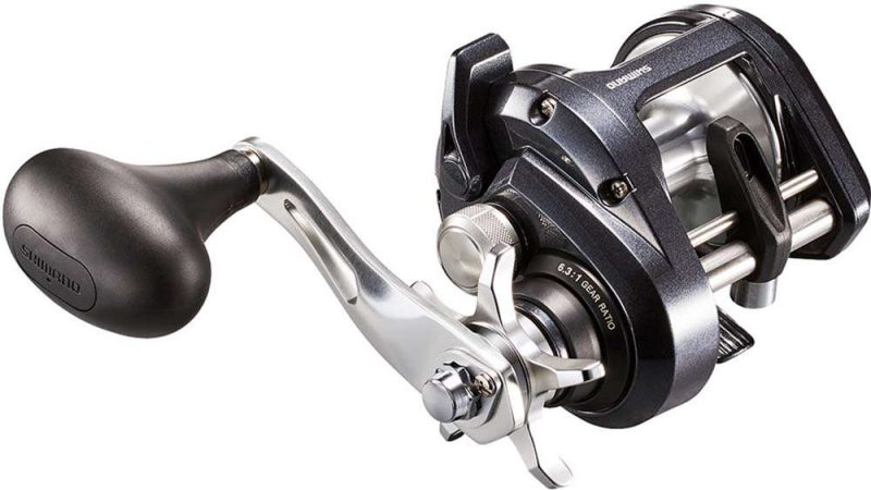 Shimano Tekota Levelwind Conventional Reel - TEK800PGA