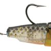 SpoolTek TailBlader - 5in - Sinking - Golden Shiner