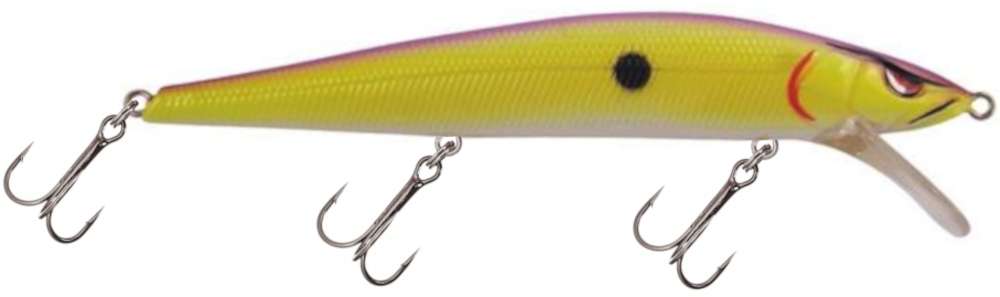 Spro Mike McClelland McStick 110 Jerkbait - Table Rock Shad