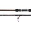 Star Aerial Surf Spinning Rod - EX1530S10CT