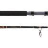 Star Hand Crafted Spinning Rod - S121769HC