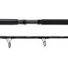 Star Rod Hand Crafted Stand Up Spin Rod - SUS16/30HC