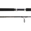 Star Rods Aerial Spinning Rod - EX1020S70E