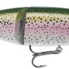 Storm Arashi Glide Bait - Rainbow Trout