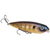 Strike King HCKVDSD KVD Sexy Dawg Jr 622 Bluegill - HCKVDSDJR 622 Bluegill