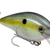 Strike King KVD 1.5 Hard Knock Squarebill Crankbait - Chart Sexy Shad