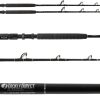 TackleDirect Platinum Hook Standup Rod - TDPS645080WTSIN-Terminator