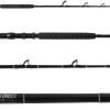 TackleDirect Platinum Hook Standup Rod w/ Winthrop Tip - TDPS645080WTSIN