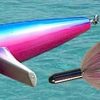 Tormenter Tackle Mahi Magnet Pink/Blue