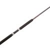 Ugly Stik Bigwater Conventional Rod - 2 pc. - BWSF2040C102