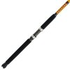 Ugly Stik Bigwater Spinning Rod - BW1020S702