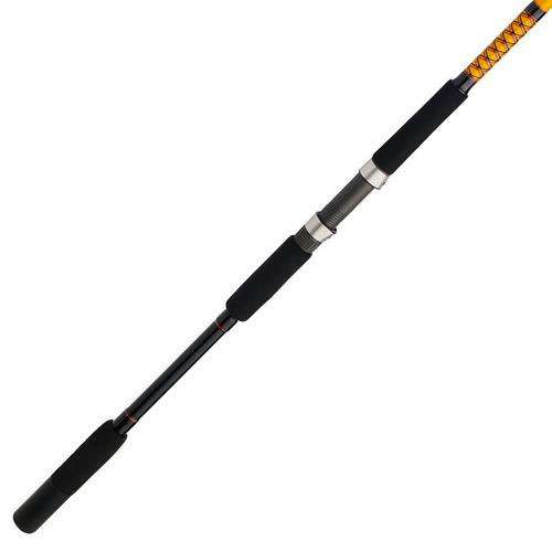 Ugly Stik Bigwater Spinning Rod - BWSF1530S102