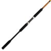 Ugly Stik Bigwater Spinning Rod - BWSF1530S902