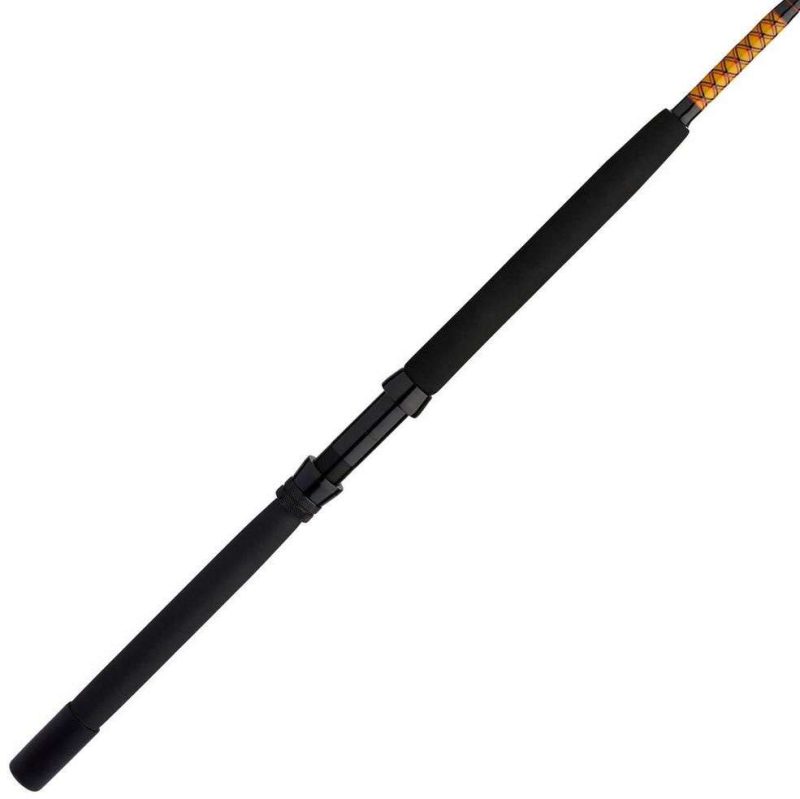 Ugly Stik Bigwater Stand Up Conventional Rod - BWSUAR3050C60