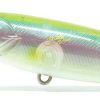 Xorus XOATRF0110FL20V Asturie FW Lure