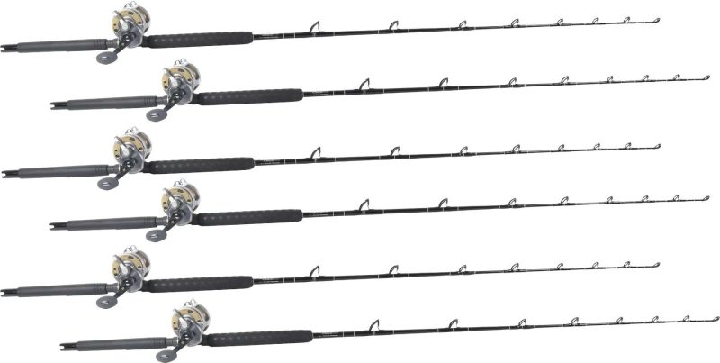 TackleDirect Platinum Hook / Shimano Tyrnos TYR30II White Marlin Package w/ 6 Combos